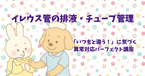 イレウス管の排液・チューブ管理｜「いつもと違う！」に気づく異常対応パーフェクト講座